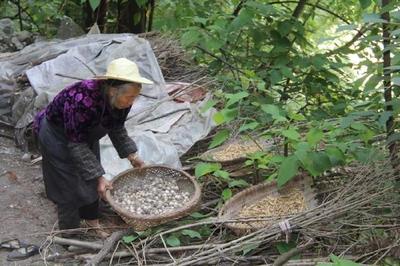 六盤水八旬老嫗住在山洞中長(zhǎng)達(dá)半個(gè)世紀(jì)