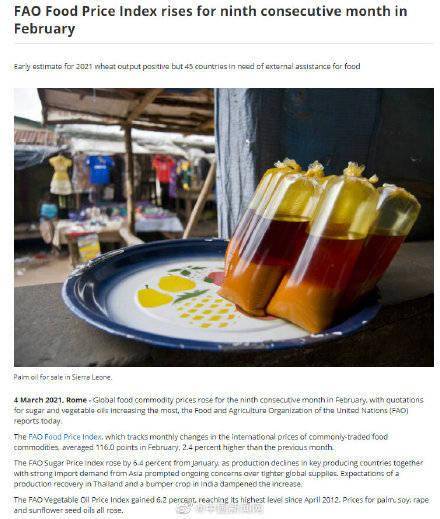 全球食品價格連續(xù)9個月上漲,中國人均糧食占有量在474公斤