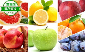 供應(yīng) 寧波食品進(jìn)口報關(guān)貿(mào)易代理