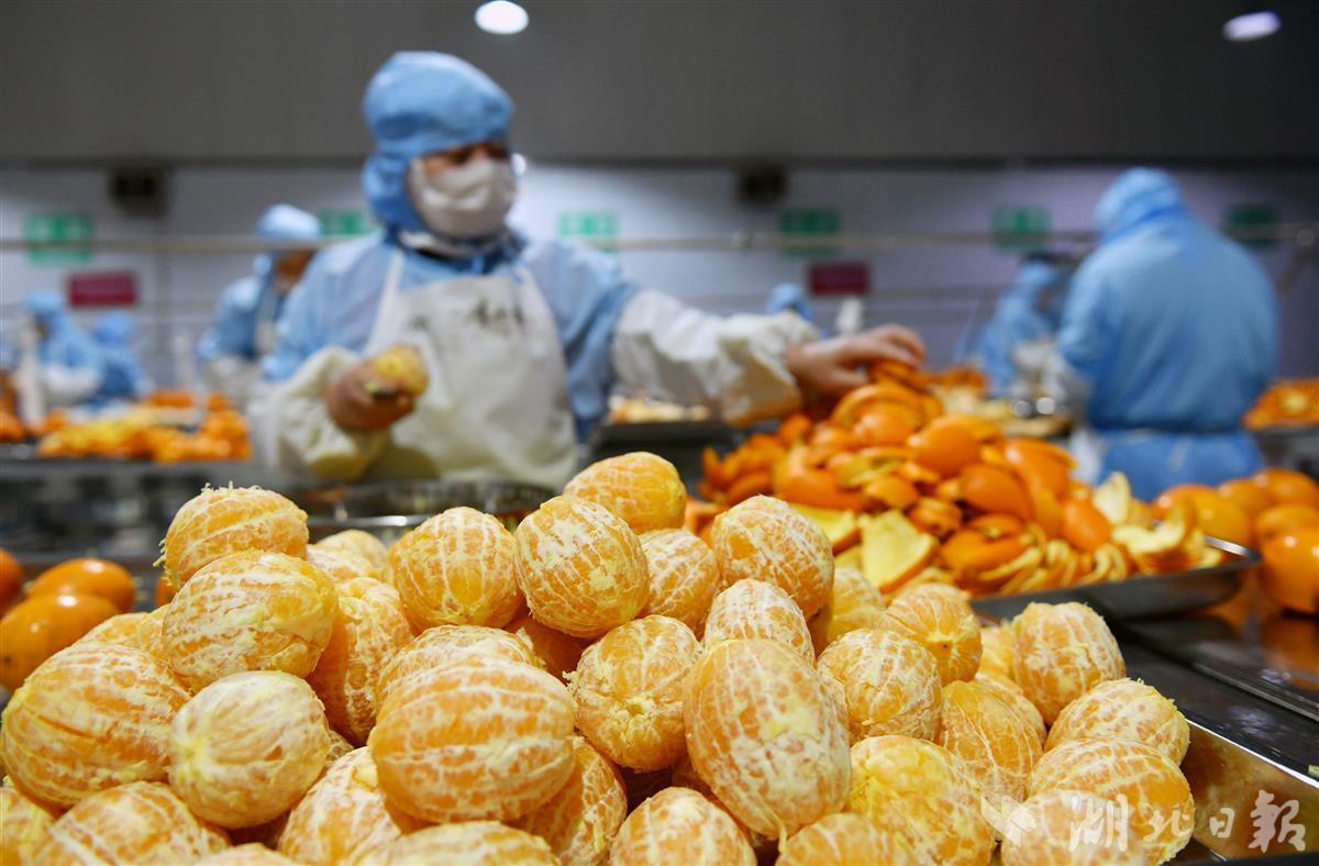 屈姑食品亮相全國(guó)農(nóng)業(yè)國(guó)際貿(mào)易高質(zhì)量發(fā)展基地建設(shè)交流會(huì)